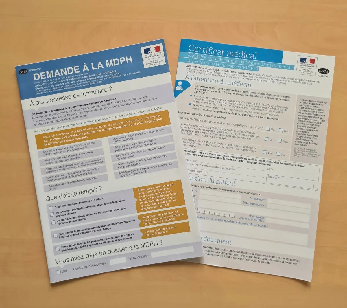 Dossier MDPH / établir un projet de vie (partie 2)